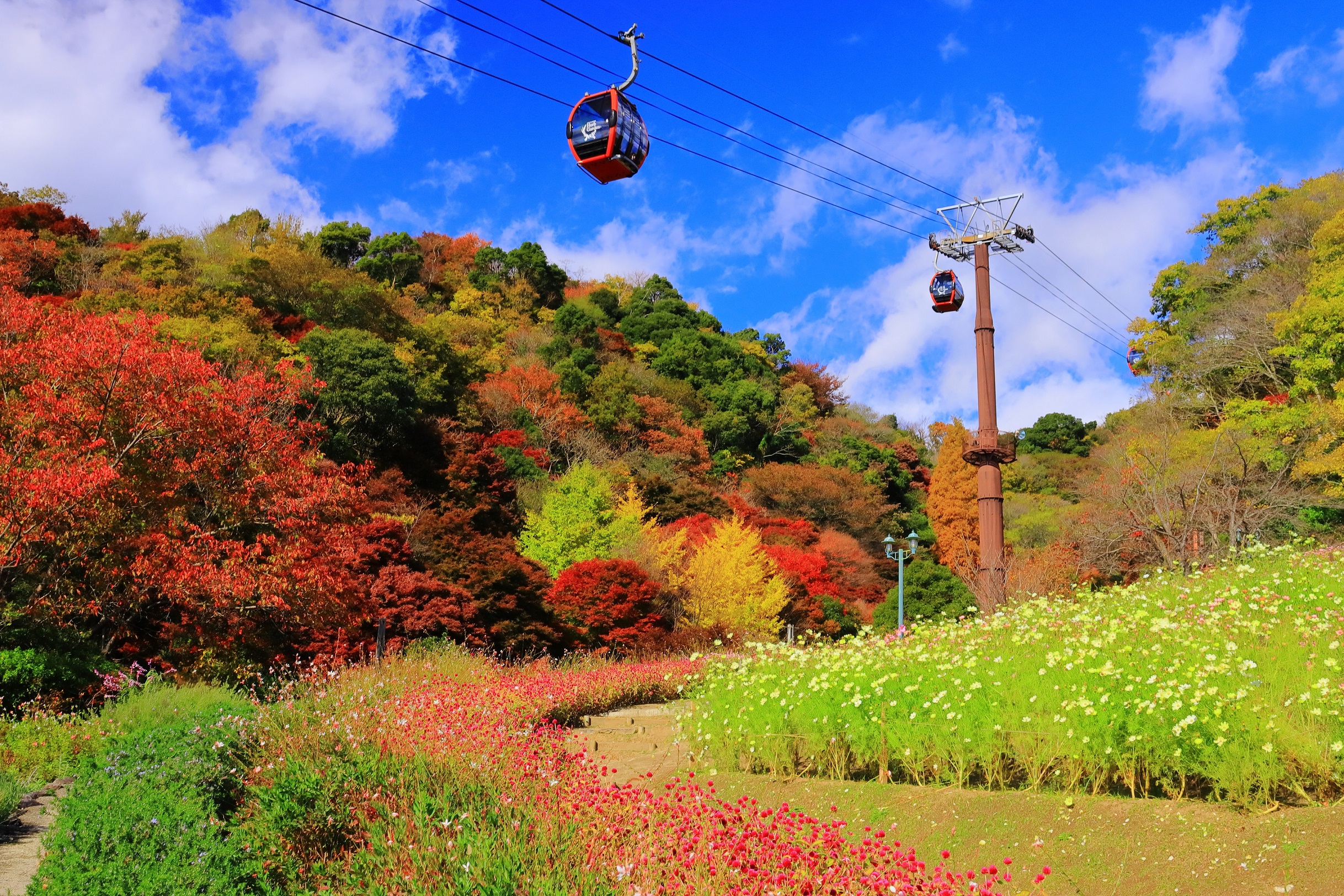 神戸布引ハーブ園 公式 Herbguidekobe Twitter
