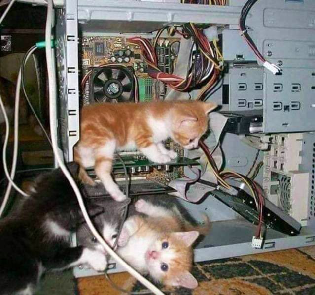 compdadjokes's tweet photo. https://t.co/c90uwDoVst