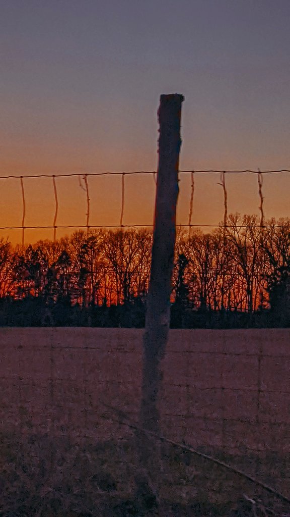 MissCarey4life's tweet photo. Sunset on a quiet Sunday afternoon!!🌞🌞🌞🌞🌞🌞
#SunsetWithYou
#SunsetChallenge976
#100happydays https://t.co/EOY3iaw0Pz