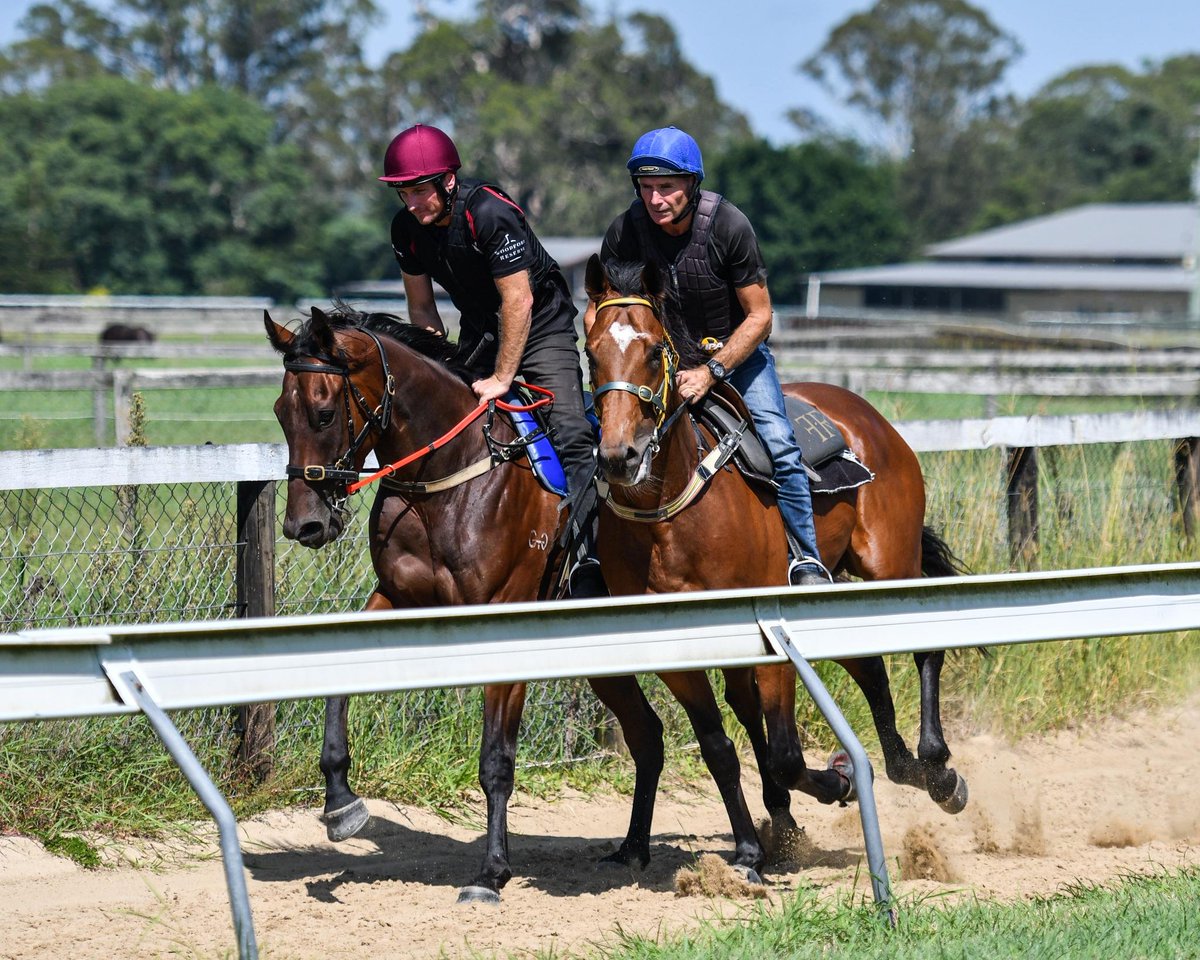 Thanks for the great 📸 of Outback Playboy @Fenwick_Farm 🐎 he is going well in his pre-training and all his owners are excited to see him head back into Heathcote Racing again soon! 😄