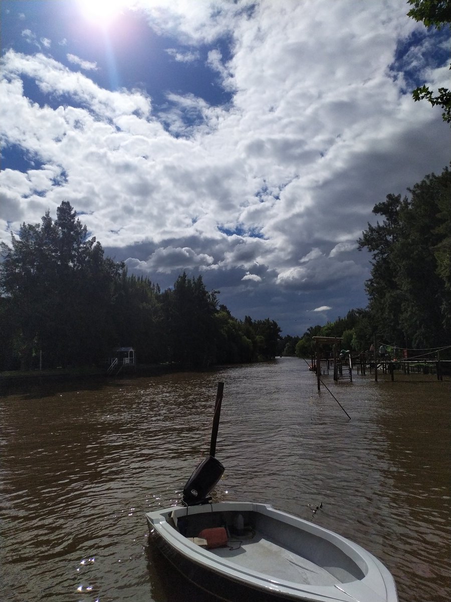 WomanCuadrada's tweet photo. Cosa más linda el tigre! https://t.co/TJckXg391H