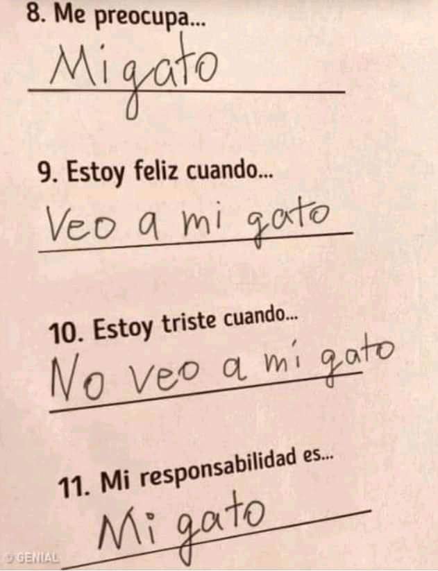 UnGatoLetrado's tweet photo. Es así. 😸 https://t.co/YDzrssd9Sh