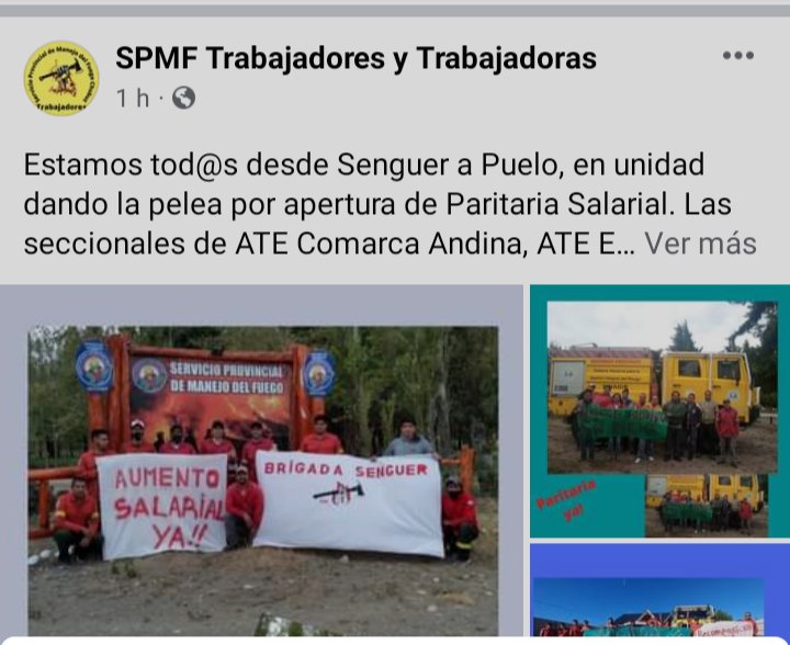 Apertura de Paritaria Salarial Urgente para Brigadistas Provinciales de Chubut.
#paritariaparaspmf
#paritariasbrigadistasdechubut