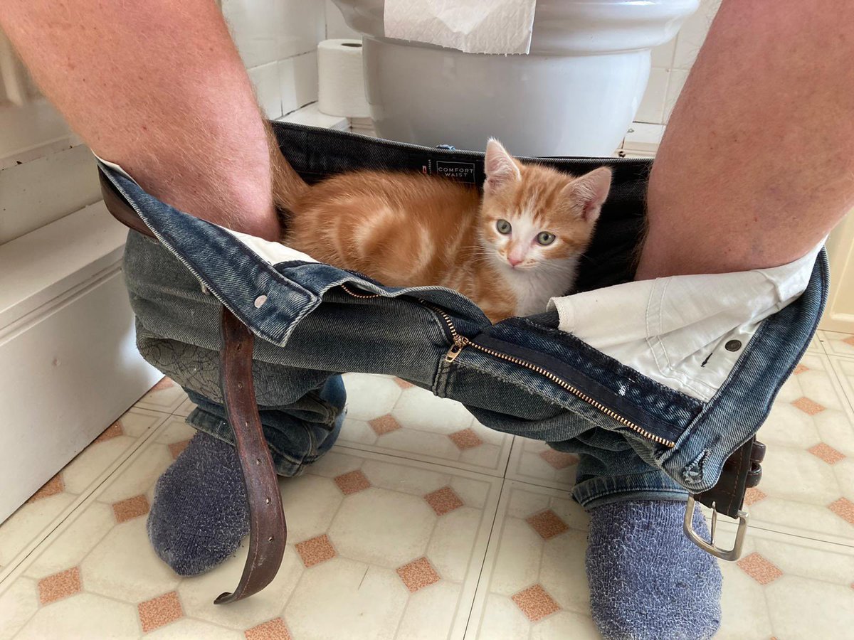 Many of us like and need a safe haven. Sometimes the locale is not immediately obvious.