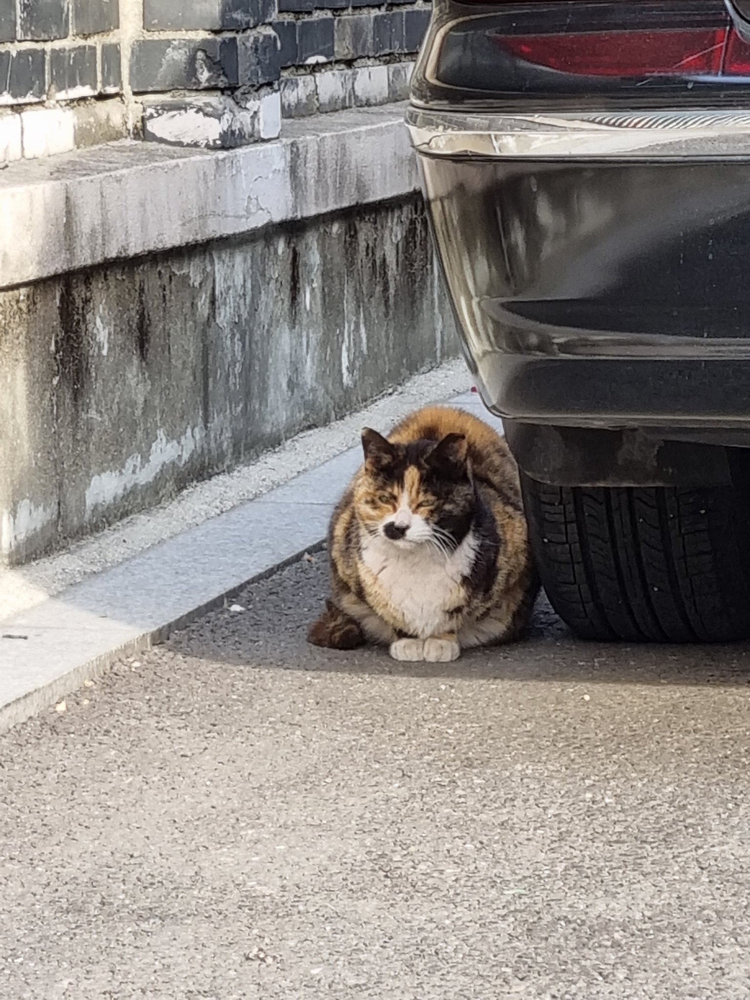 韓国 街角の風景 Twitter Search Twitter