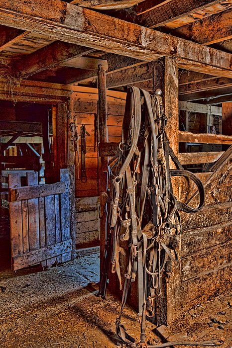 alana_thrower's tweet photo. New artwork for sale! - "Draft Horse Harness" - https://t.co/Zgw0HjDTOT @fineartamerica https://t.co/3SOrO2VAZ9