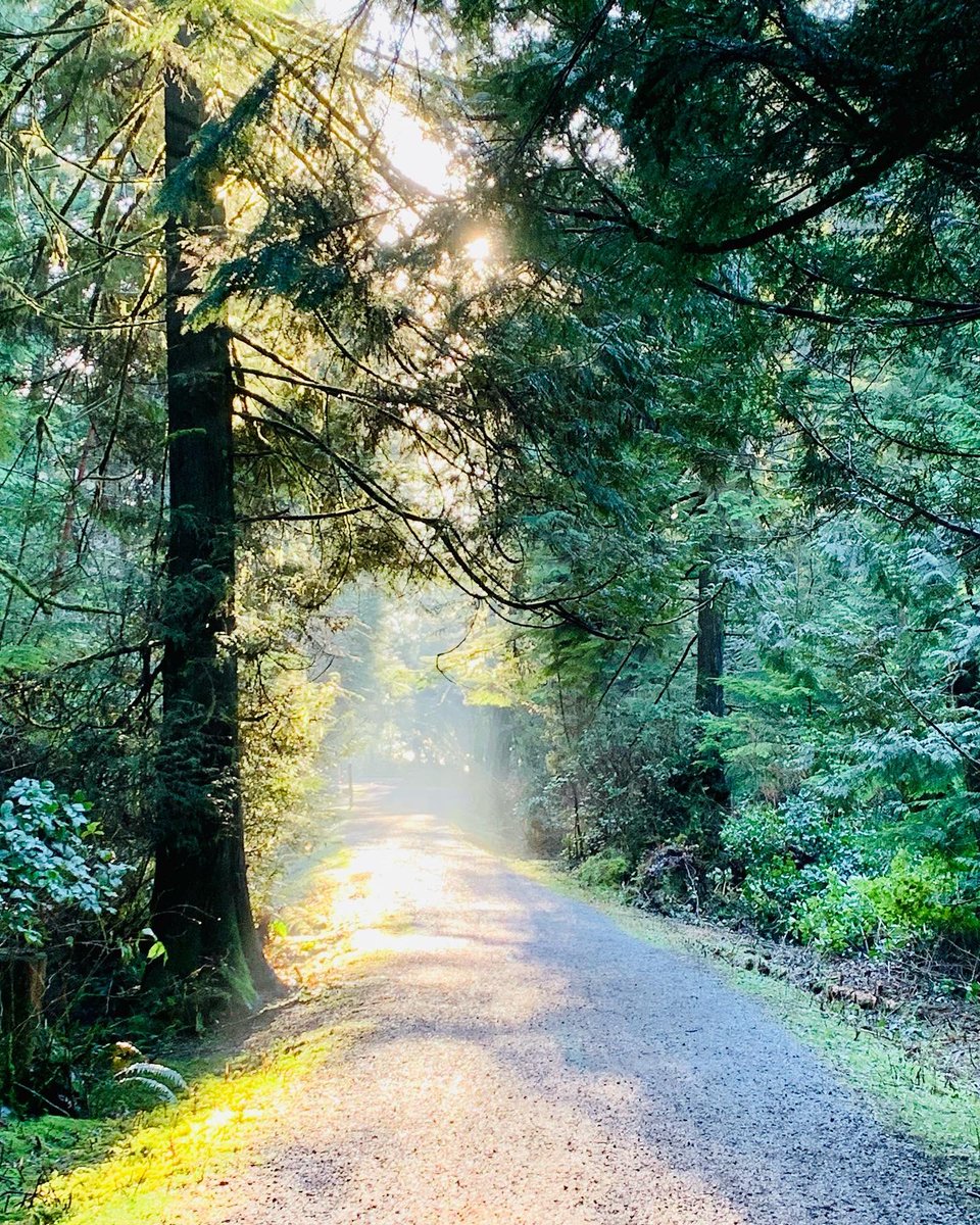 Joy Lidder tweet media