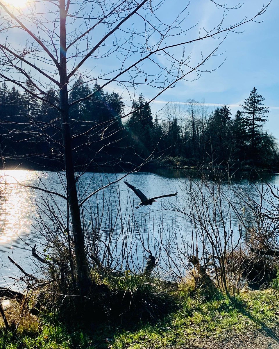 Joy Lidder tweet media