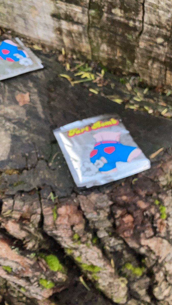 sunmonkey9's tweet image. #monkeyshines2022 found fart  bombs at Jefferson park 😂🤣