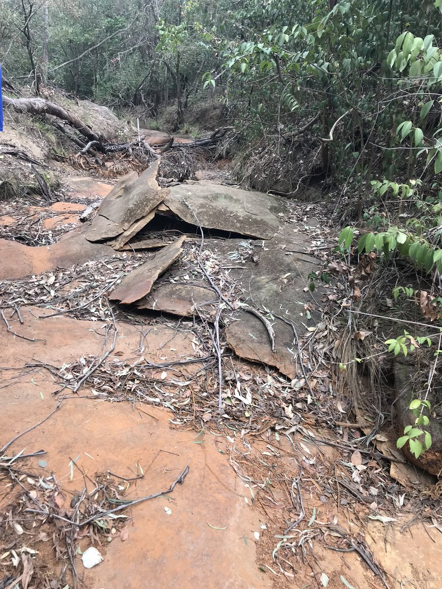 JO112358's tweet photo. #Subsidence from #longwallmining is devastating for the environment because permanently it dries out the landscape by reducing surface #water
#Dendrobium #coalmine smashes up the 1st and 2nd order streams so less plus #contaminatedwater flows into bigger order water bodies. https://t.co/ybp5QEkMrN