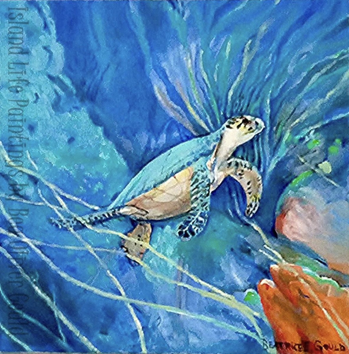 Island Life Paintings tweet media