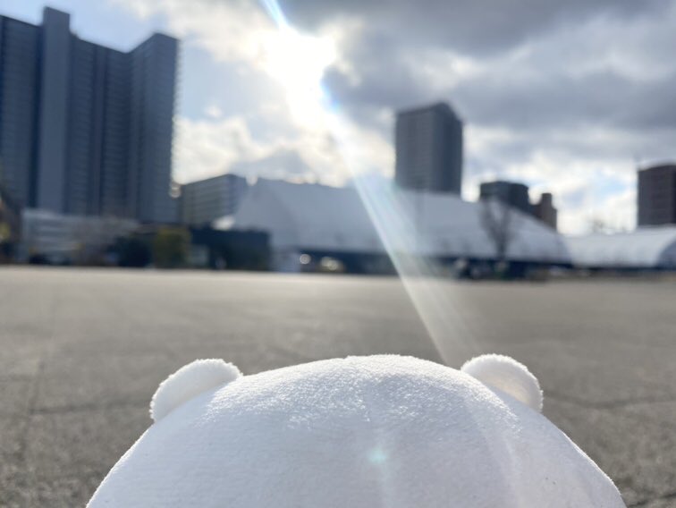 khb_guriri's tweet photo. にょきにょき… https://t.co/dqJwMX81P4