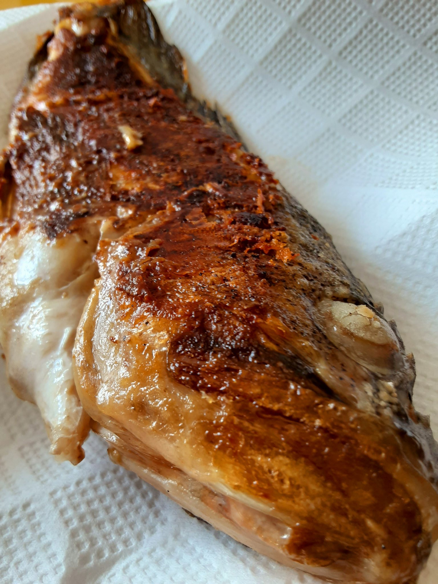 りー 今日のおつまみは残りの白菜のおひたしとタコのお刺身と ソイの唐揚げ です 写メだと小さく見えるけど シッポの先は切り落としたんだけど入れたら体長25cmぐらいのソイの唐揚げです 唐揚げと言っても天ぷら鍋で揚げてません ウチは 火災や