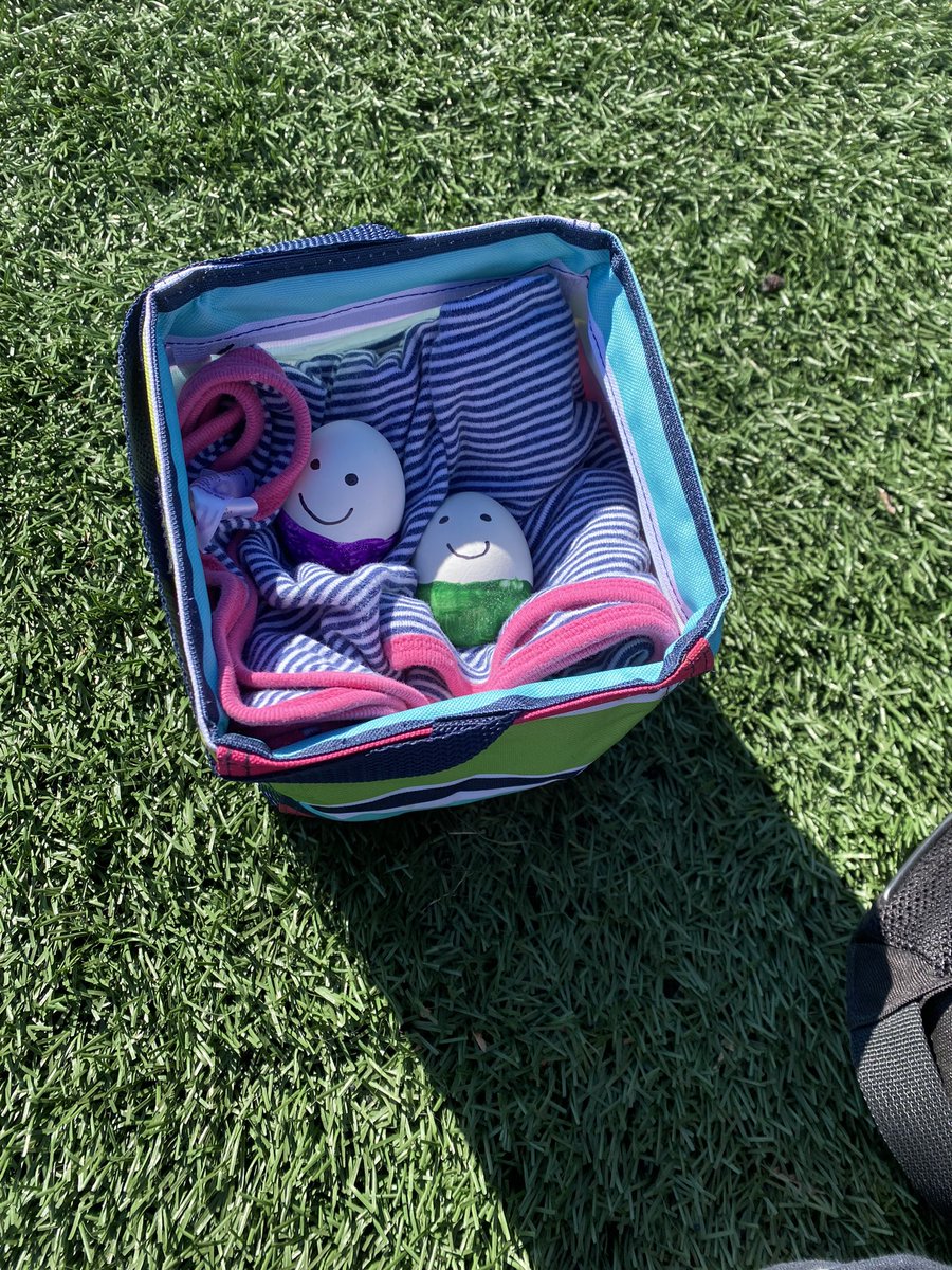 eggy_egwin's tweet photo. @Ap_eggsperiment Eggy and Egwin went to there first soccer game today https://t.co/M2TuXUPKoM
