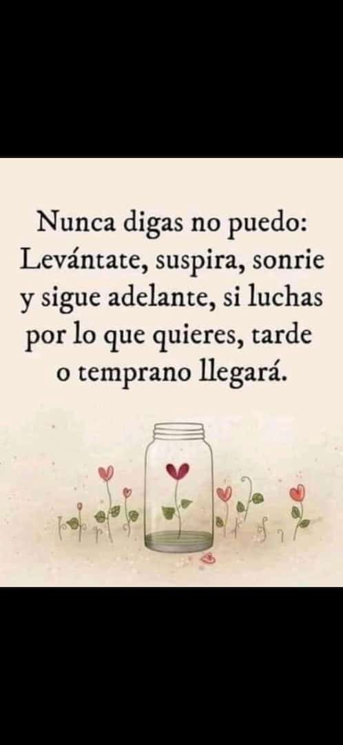 EdiilFredii's tweet photo. @yeeya29 Felicitaciones 🎆 https://t.co/3VruX7qp8H