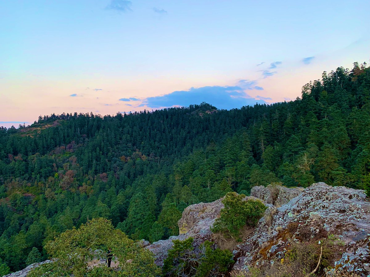 MissCuac's tweet photo. Vista en mirador π€©πβ° #Atardecer #SundayFunday #outdoorfun #peΓ±a #mineraldelchico #pueblominero #lifeaftermining https://t.co/1ToP8RArQV