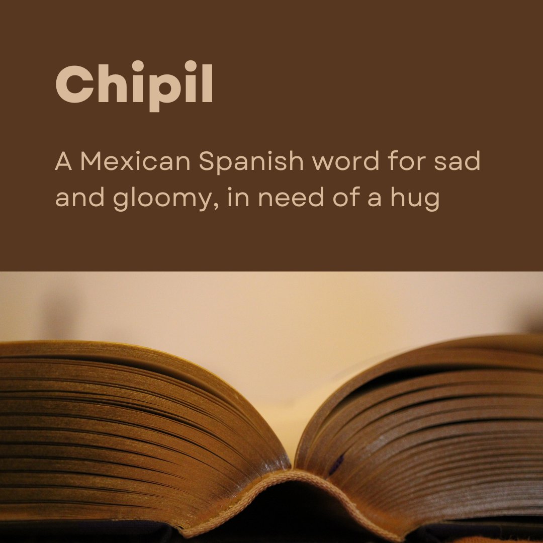 Jennifer Hollington tweet media