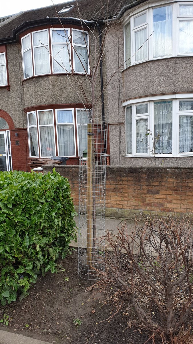 Rahat Ismail tweet media