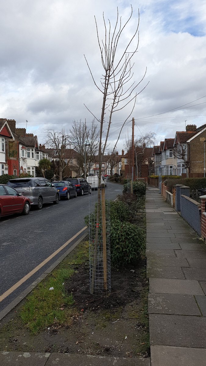 Rahat Ismail tweet media