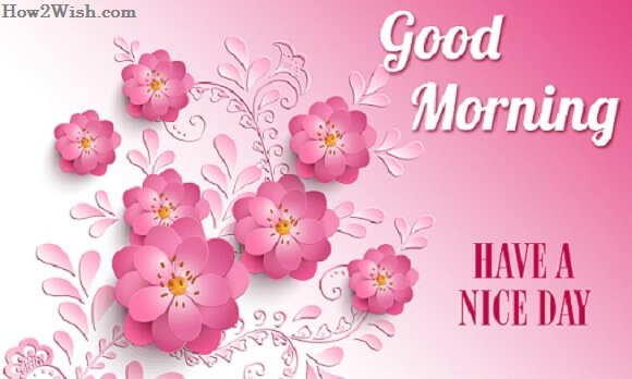 открытка have a nice day. Have a nice day pictures. Lullaby hub vkontakte. Nice wishes. Have a nice day цветы.