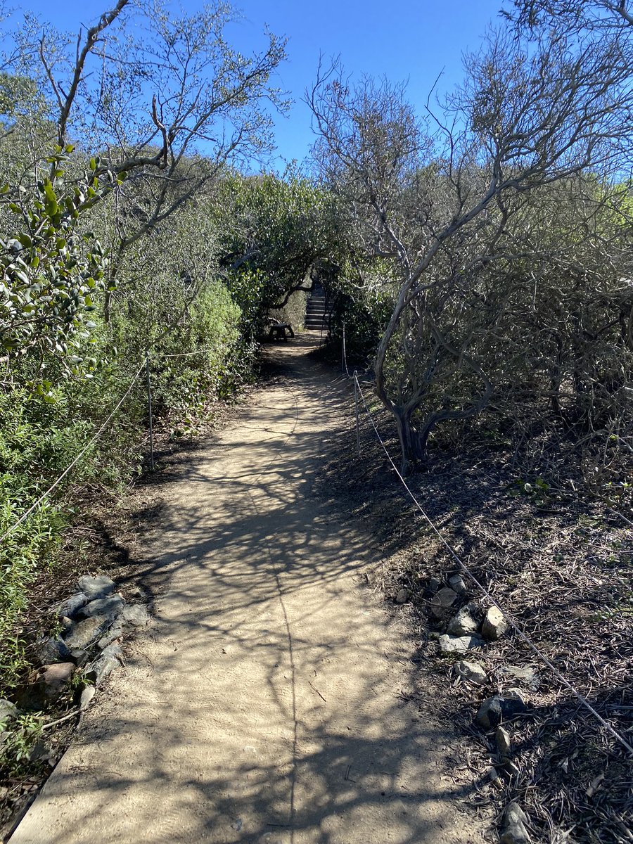 Today’s hike at Torrey Pines