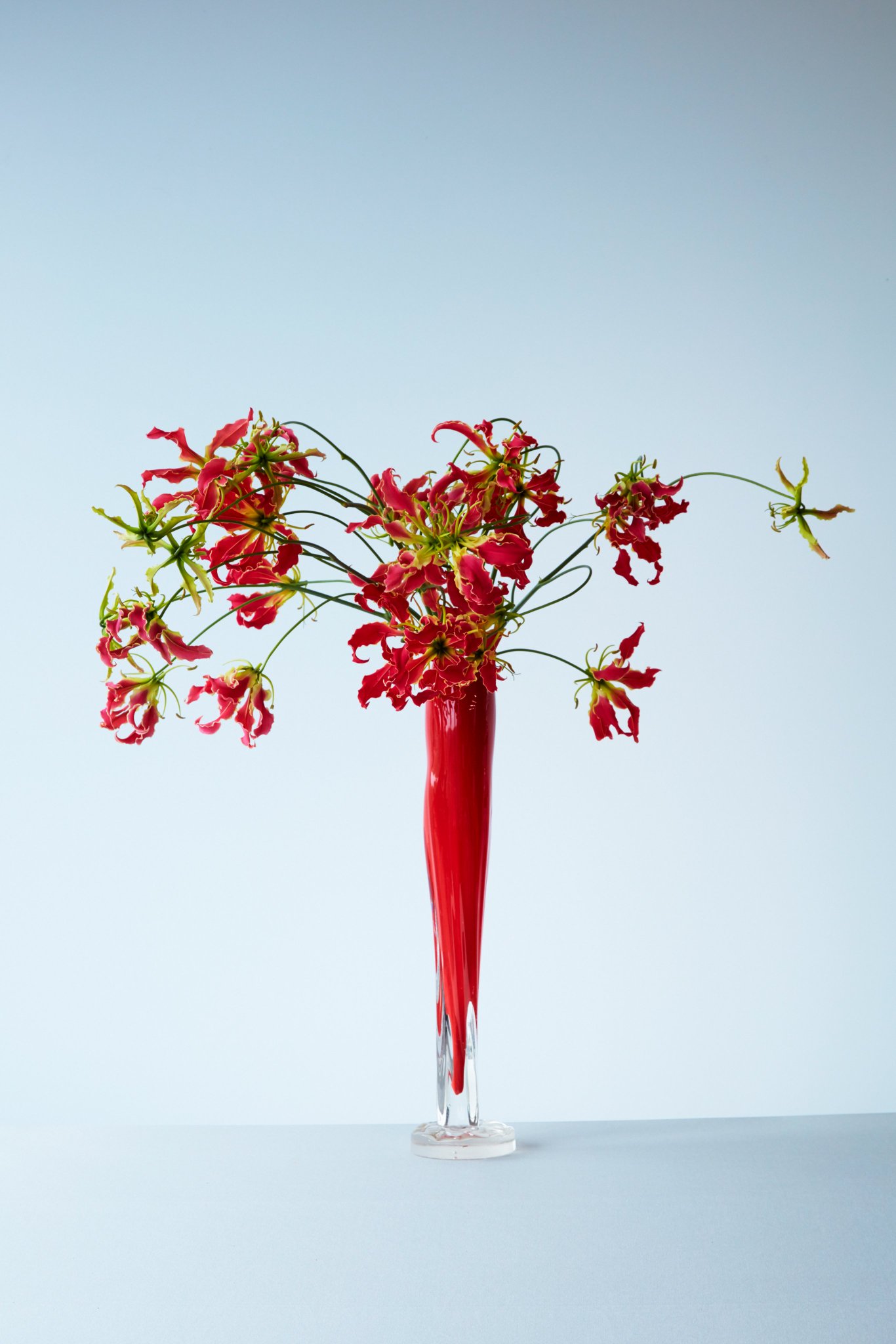 草月の花 Garlic scape #ikebana #sogetsu #草月流 #いけばな草月流