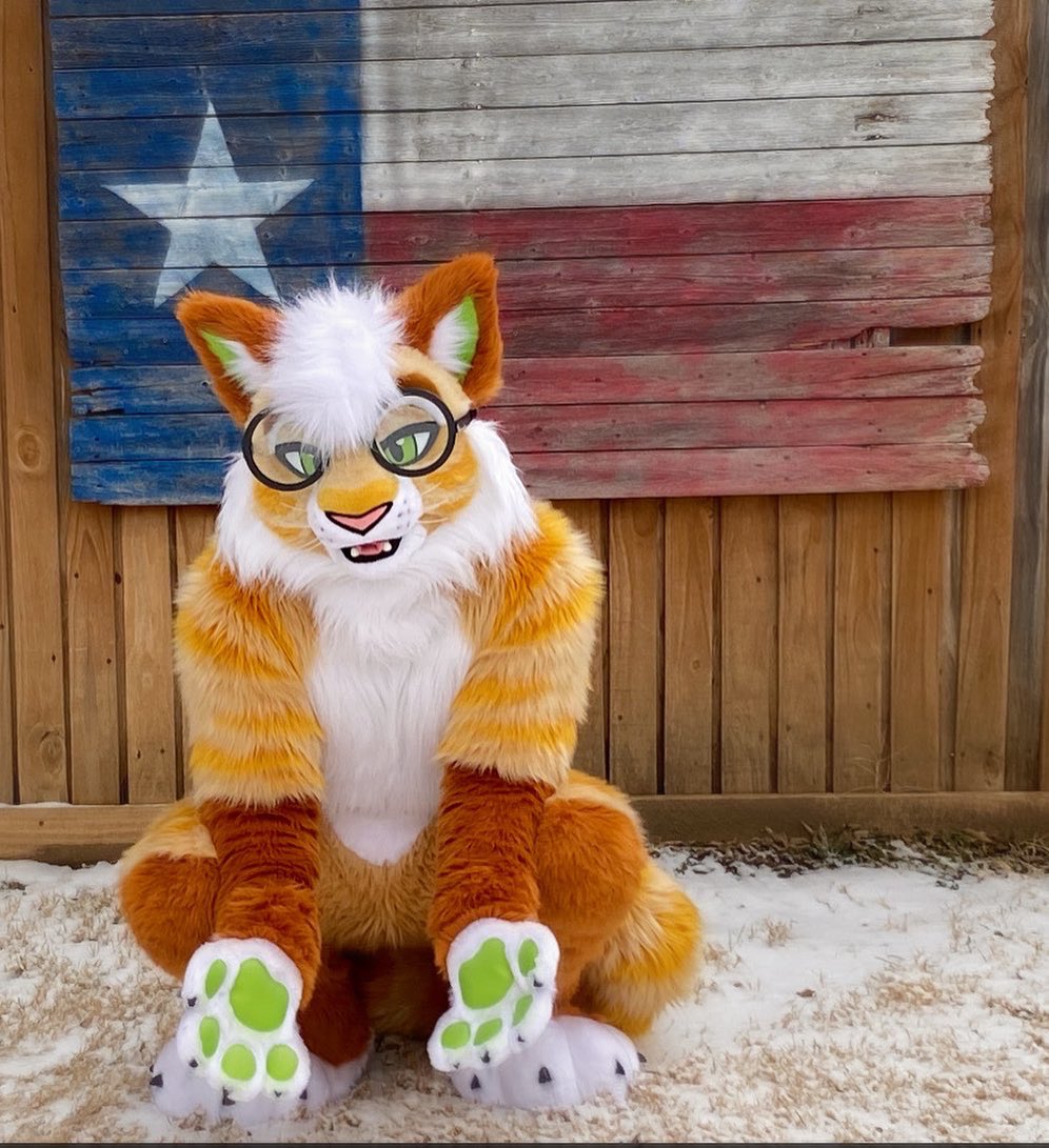 Jacethecat10's tweet photo. Big ol Texas Cat😎 #furry #furryart #fursuit #FursuitEveryday #fursuiter https://t.co/44V6qorDO0