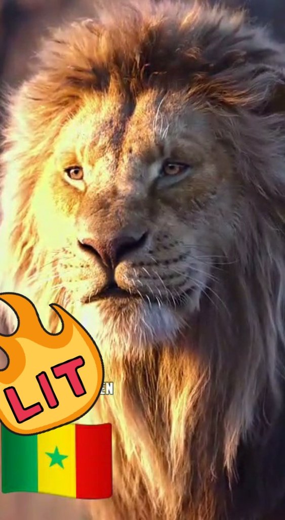 FachaSeydi's tweet photo. Un Lion restera pour toujours un Lion 🦁🦁🦁🦁🦁🦁🇸🇳🇸🇳🇸🇳 https://t.co/Wvg0vuOnIE