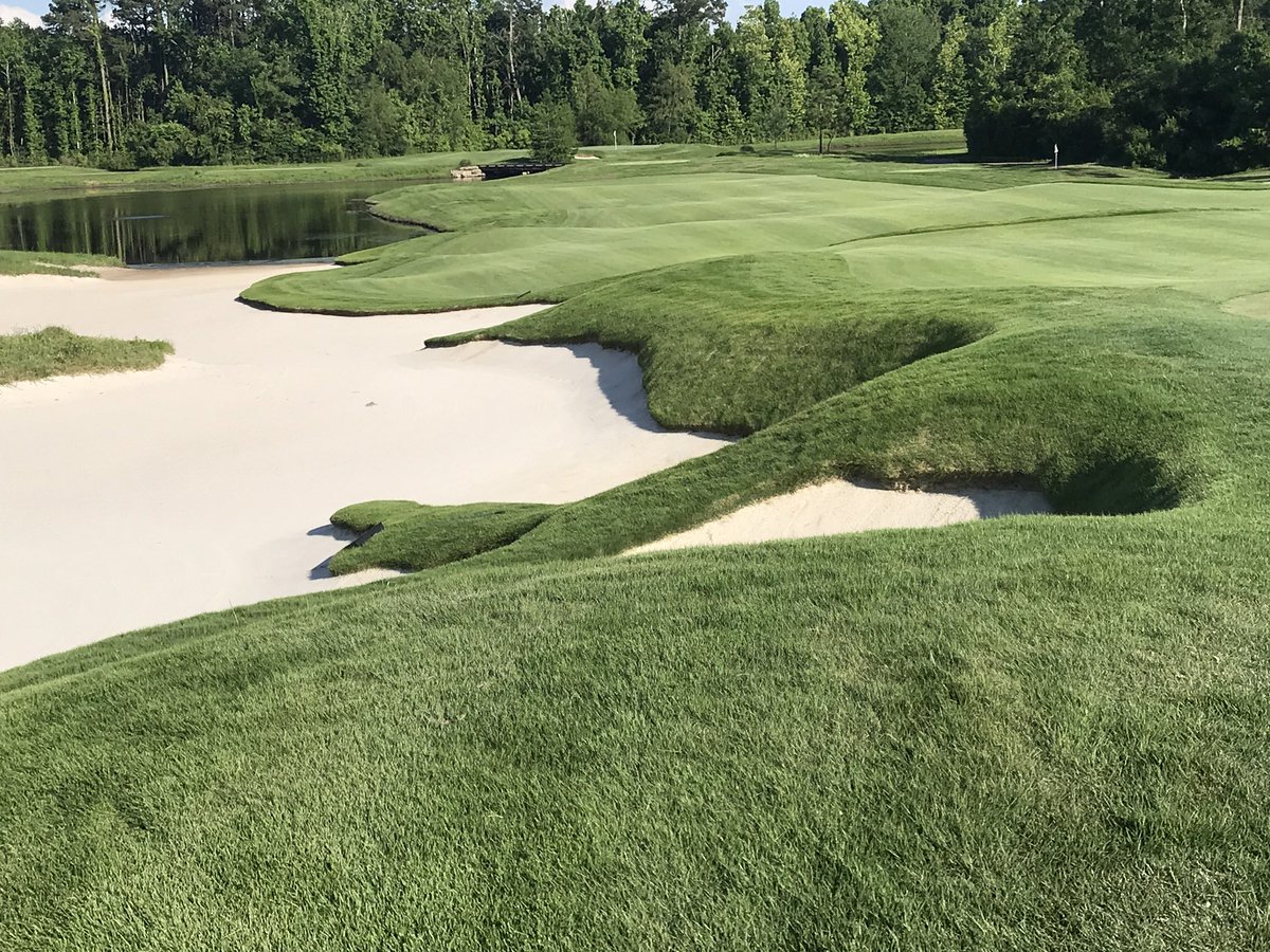 doguetdavid's tweet photo. BRF Zeon Zoysia for bunker faces, as good as it get’s. https://t.co/ENJADqoZWe