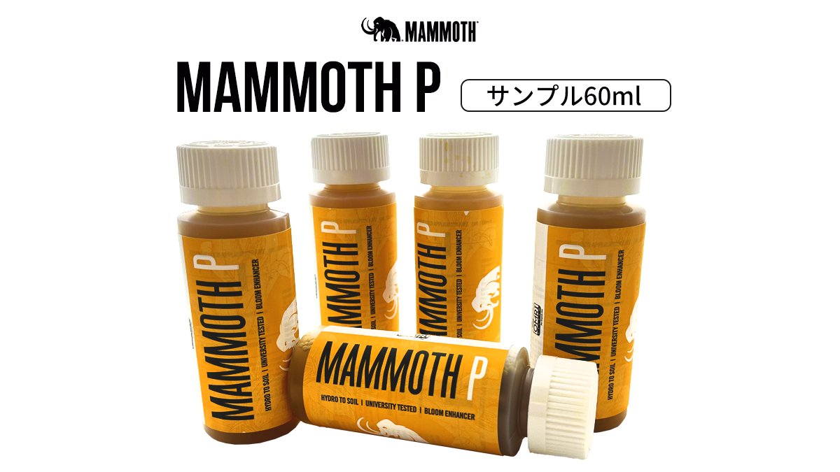 Growstore グロウストア恵比寿 Growstorejp Twitter Growstore グロウストア恵比寿 Growstorejp Twitter