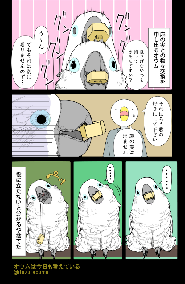 オウムさんに それはダメだからおやつと交換して と頼んだら 飼い主に物を売ろうとするようになった話 うちのもやる Togetter