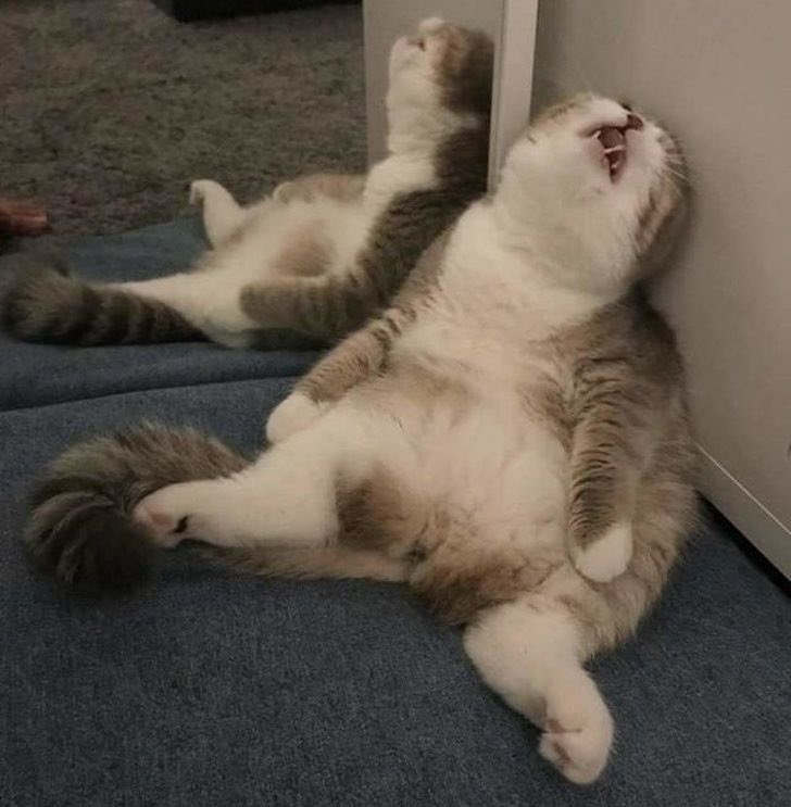 fleceeee's tweet image. la Rue en las escaleras / Maddie y Cassie

#Euphoria