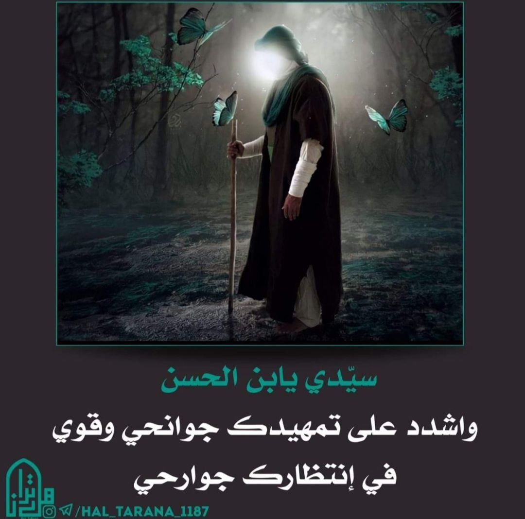 k2pyCc1LSbNvb1o's tweet photo. سيّدي يابن الحسن
واشدد على تمهيدڪ جوانحي وقوي في إنتظارڪ جوارحي ♥️🕊️🥀 

#صباحكم_مهدوي_الفرج
#صباحكم_مُعطر_بِذكرِ_مُحمد_وآلِ_مُحمد 🌸🌱 https://t.co/P5AJCzXAjK