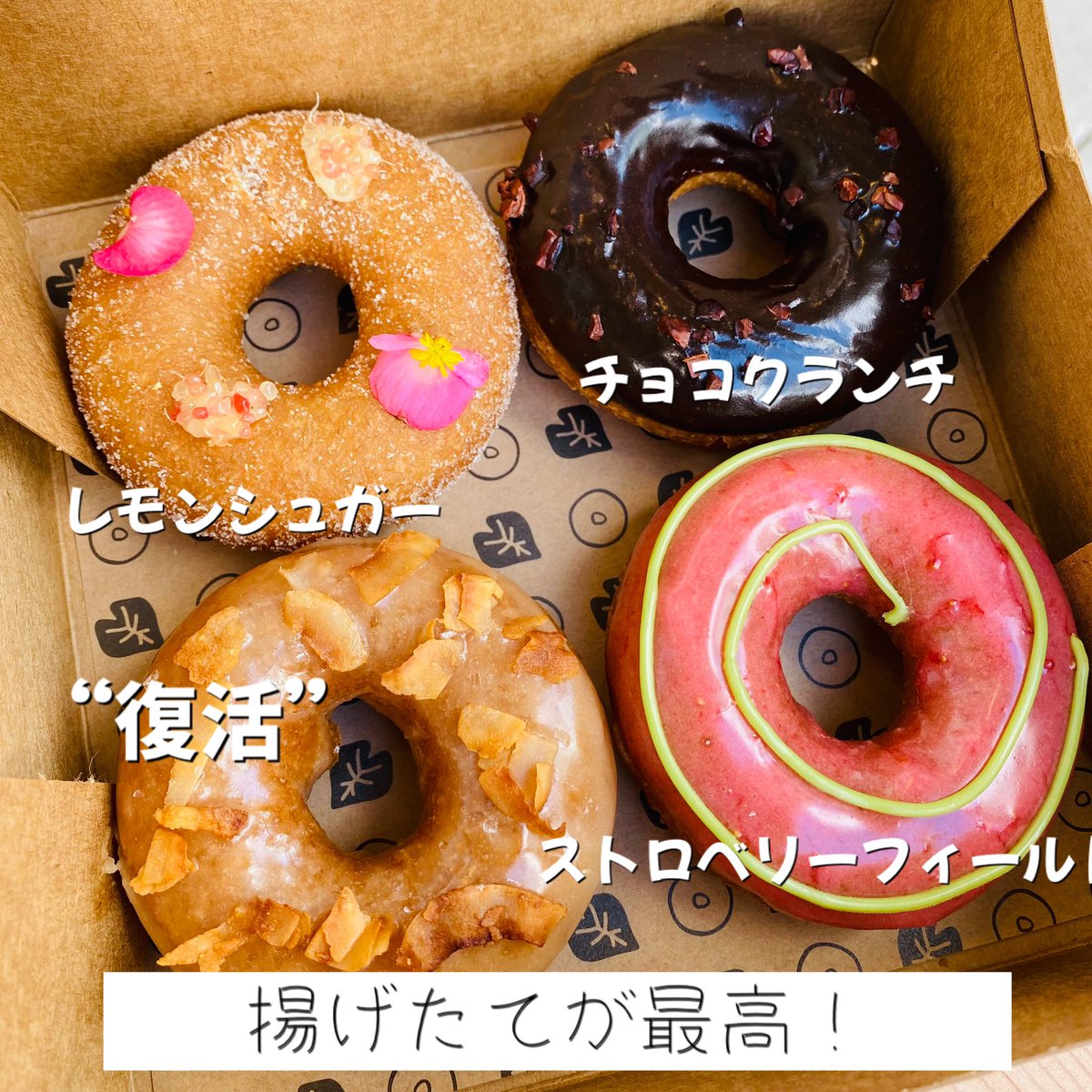 aloha_guideplus's tweet photo. 最近注目のヘルシードーナツ。
Holey Grail Donuts。生地はタロイモ、油はココナッツオイルを使用。
#ハワイ #ハワイドーナツ #ハワイスイーツ

詳しくは

https://t.co/RpQWHAOwsr https://t.co/UirxzKbGQ9