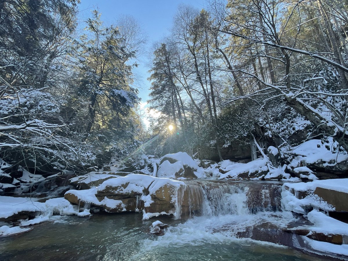 alligator snow rock 💚 🐊
#matadorfalls #magicalforest