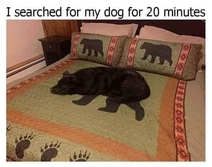 BexEst71's tweet photo. 🤣🤣 https://t.co/LJVwtdKRje