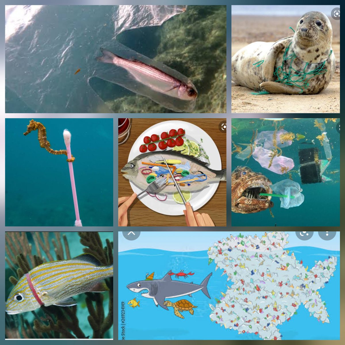 Menakaarts's tweet photo. How painful it will be 🥺. . .  #SayNoToPlastic https://t.co/Qk7VOGw3d3