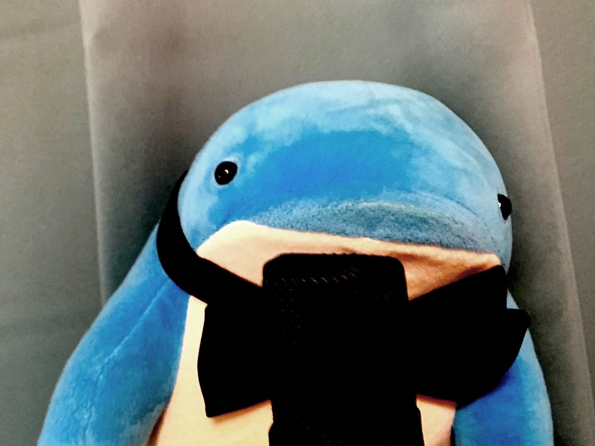 DailyQuaggan's tweet photo. "With that out of the way, quaggan can now reveal some last minute improOovements to the #GW2EOD elite specializations. Allow quaggan to eluOocidate." #GuildWars2 #GW2 https://t.co/PYehpv95RE