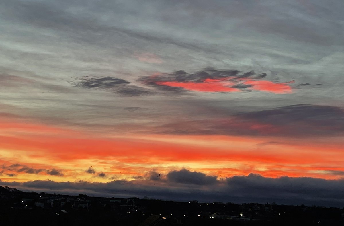 Trisha Elliott tweet media