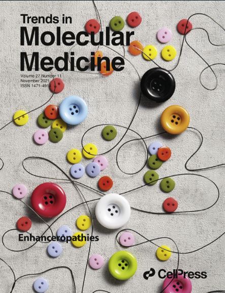 TrendsMolecMed's tweet photo. 📣 Best of 2021 @TrendsMolecMed ✨ 
Enhancers in disease: molecular basis and emerging treatment strategies
@zauggj and @AnniqueC at @embl wrote a stellar review that crowned the November cover 
#epigenetics #enhancers #enhanceropathies https://t.co/UG41DtCPJH https://t.co/tJP8KFFLwU