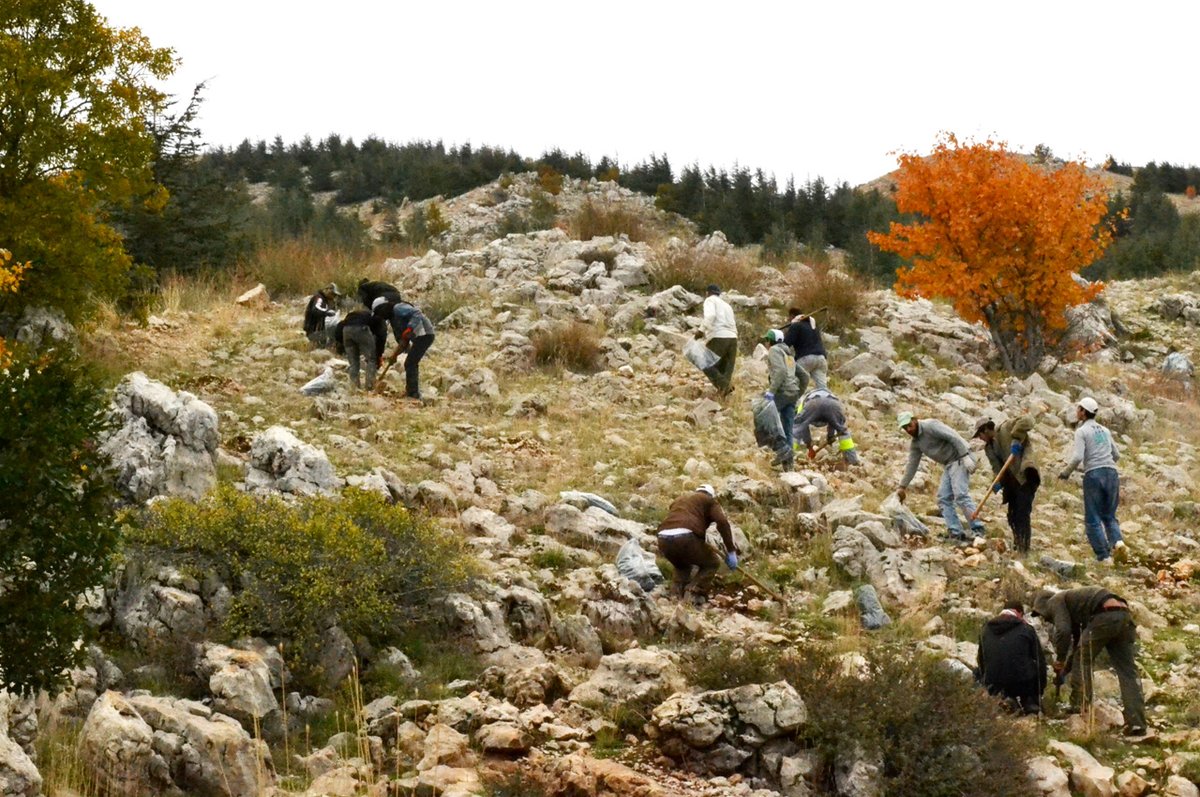 CrowtherLab's tweet photo. “Local people are looking for initiatives to fuel economic growth and livelihood opportunities.”
Read more about the Forest and Landscape Restoration (FLR) approach taken in the Shouf Biosphere Reserve, Lebanon: https://t.co/HMMeRx5zTO #restories #forestrationints https://t.co/pfJTT5Z5O2