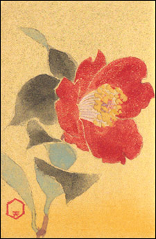 日本の誕生花 Tanjyouka Twitter