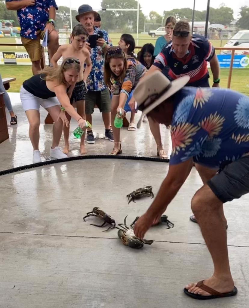 AnikaWells's tweet photo. Mudcrab races at @BrightonRooster - an essential element of the Lilley Australia Day experience https://t.co/WPpvBl3VlY