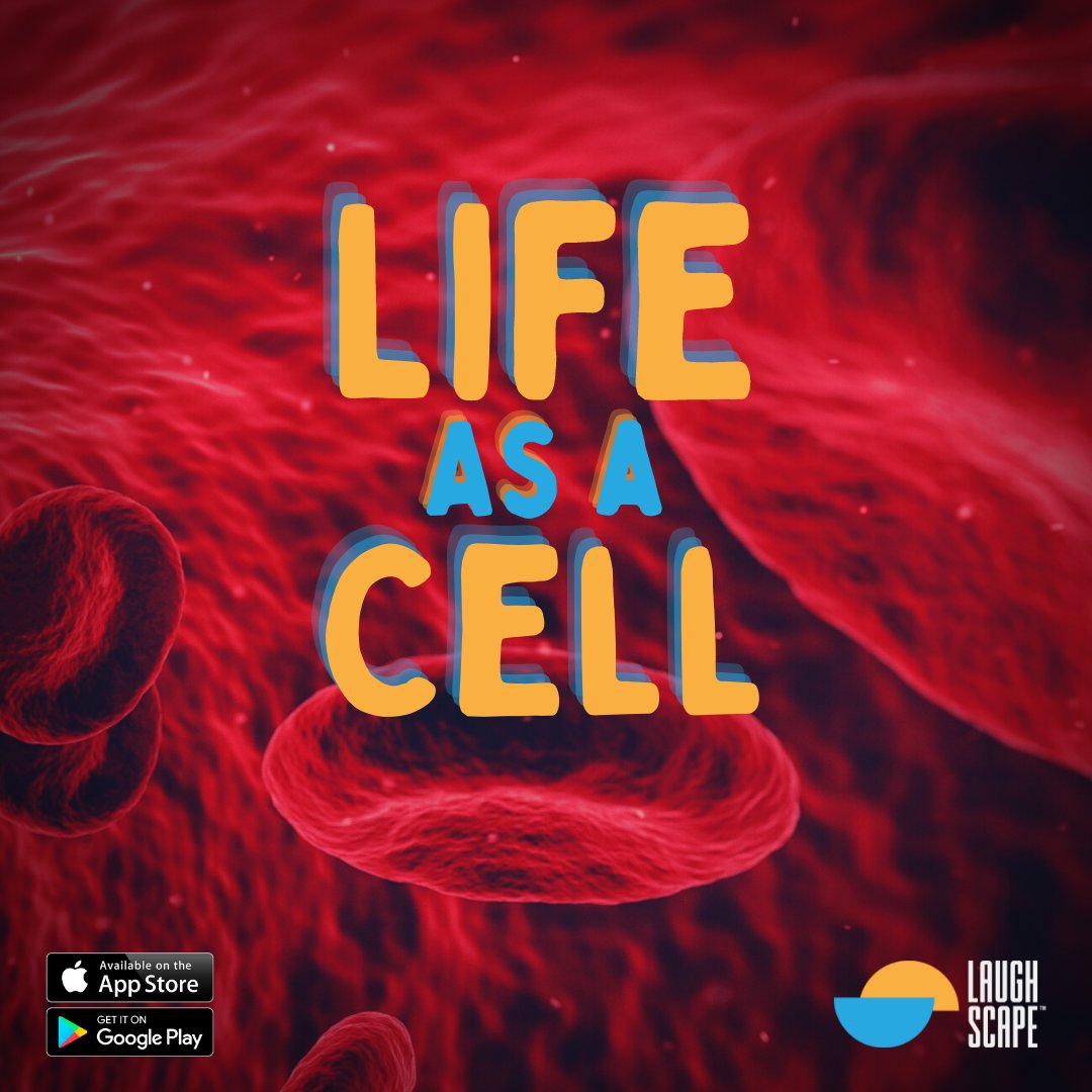 laughscapeapp's tweet photo. NEW Comedy Sleep Story. Tonight go on a journey following a little red blood cell around your body 🩸

A Comedy Sleep Story is designed to help those who overthink, stress and just need to tune into something to distract them.

#🩸 #RedBloodCell #SleepHack #Laughscape #SleepStory https://t.co/BrAJorjPSo