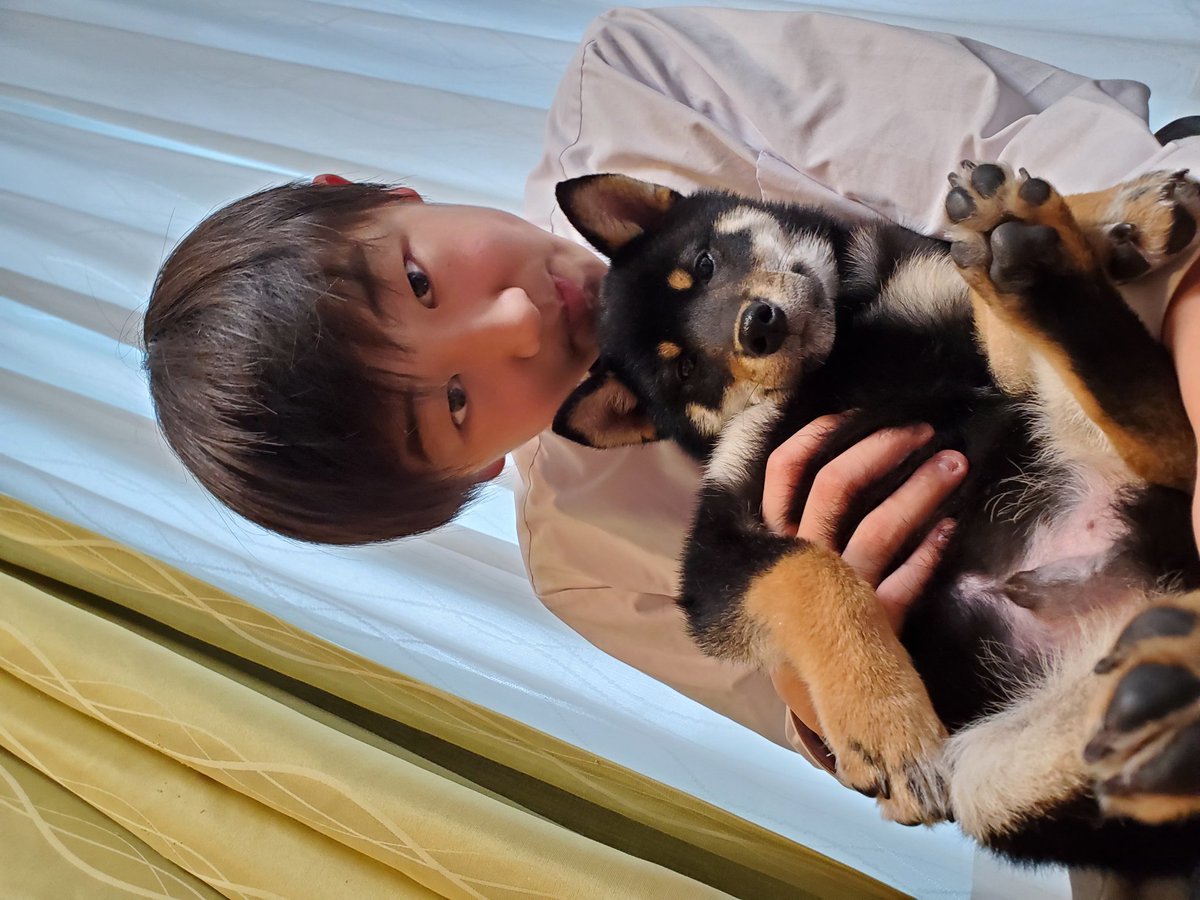 いつも応援してくださる皆様、ご報告です!!昨日1月25日から黒柴を飼い