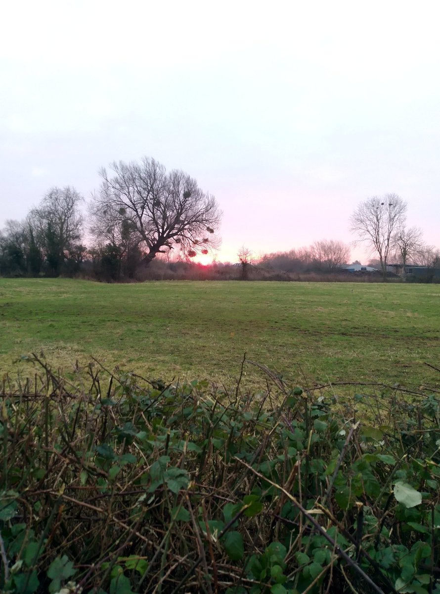 Hippiepig's tweet photo. Beautiful morning! #TheLevels https://t.co/mtgMmxGfFn