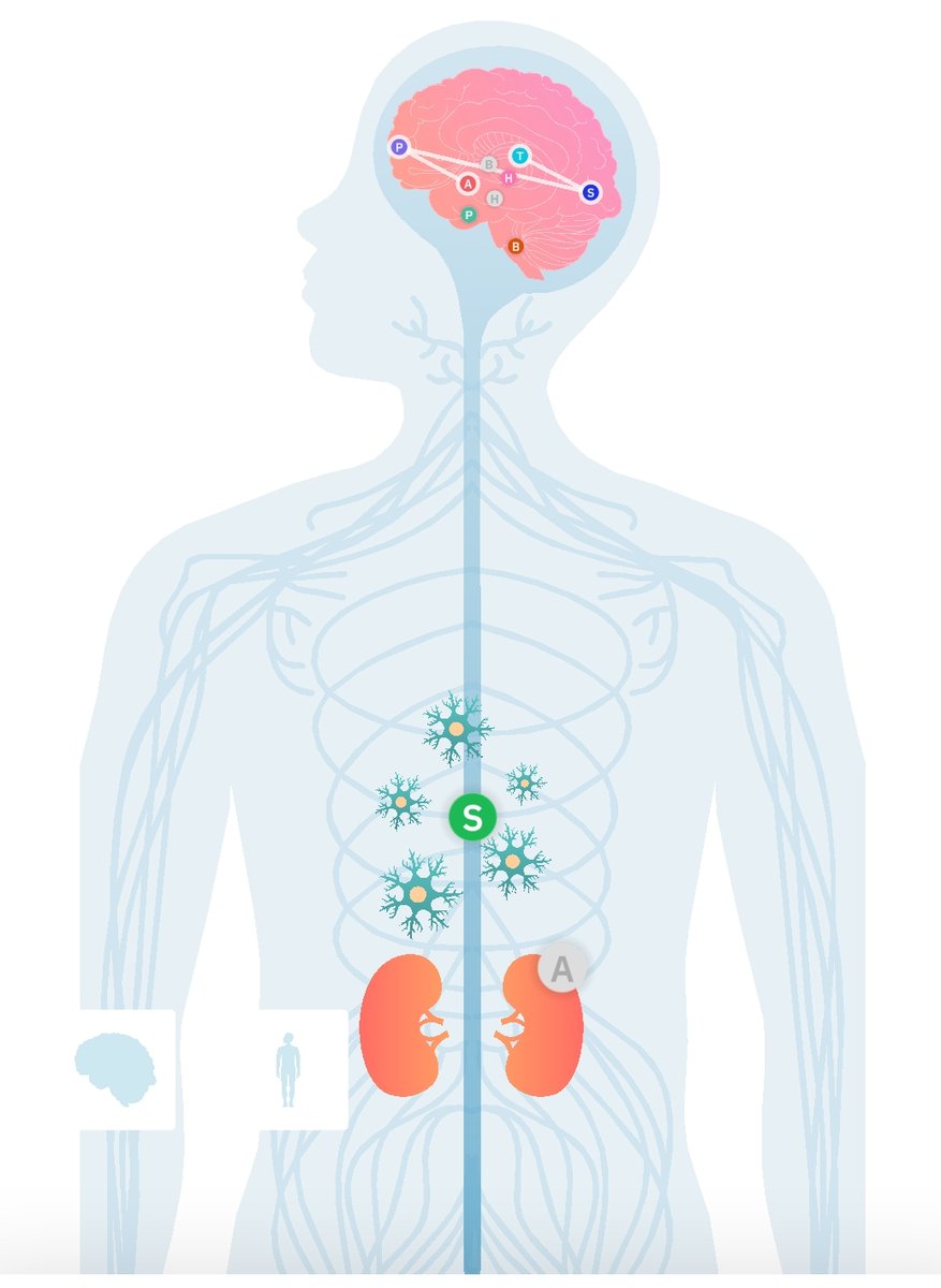StressnetworkC's tweet photo. Not yet tried our new app 📱? Don't wait any longer! It's available on the App Store and Google Play. Enjoy ✨! 
#stressnetworkch #stress #research #science #publicoutreach https://t.co/9IhlQY7qRK