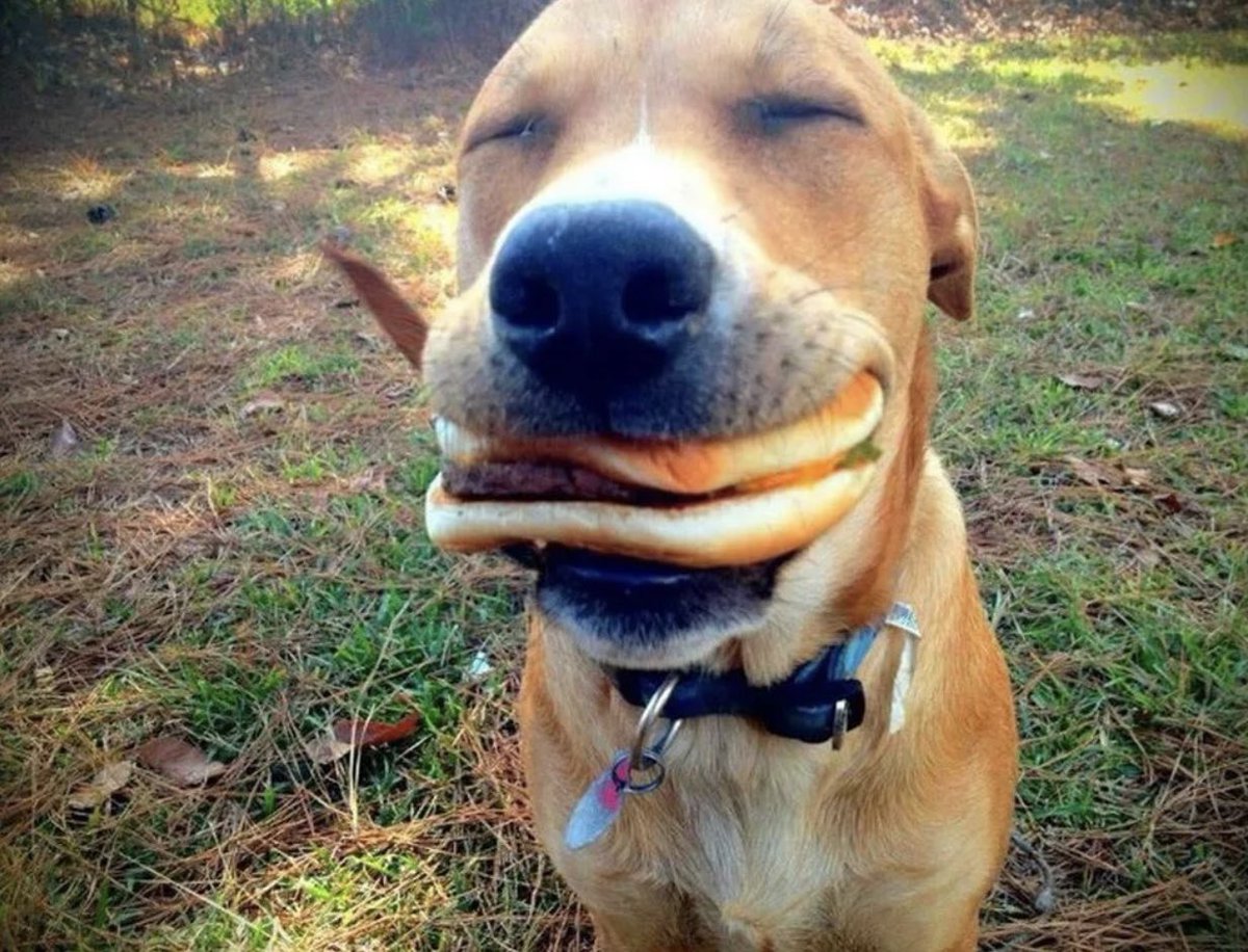 AndreyAvm's tweet photo. @BurgerKing @elonmusk @McDonalds https://t.co/yikkQZwPbB
