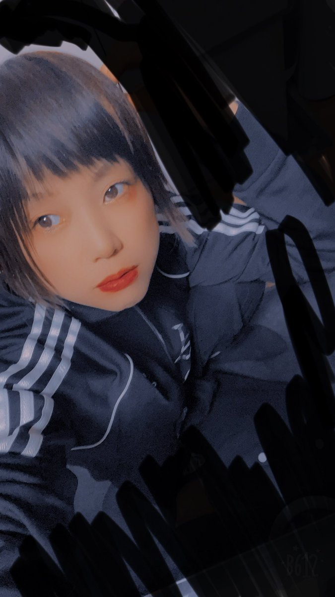 或 tweet media