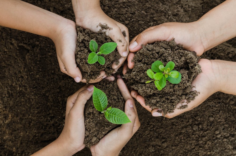 Delipac's tweet photo. Delipac is PEFC certified, produced from sustainably managed forestry sources, and manufactured under the internationally recognised ISO 14001 (environmental) and ISO 50001 (energy) management standards 🌳

Want to know more about our #green credentials? https://t.co/P80Y3aDXqm https://t.co/uxLpNP5n0p